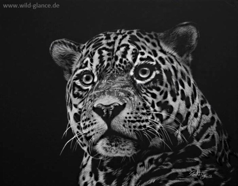 Leopard Portrait
