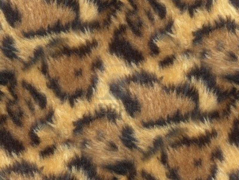 Leopard Print Fabric — Brown