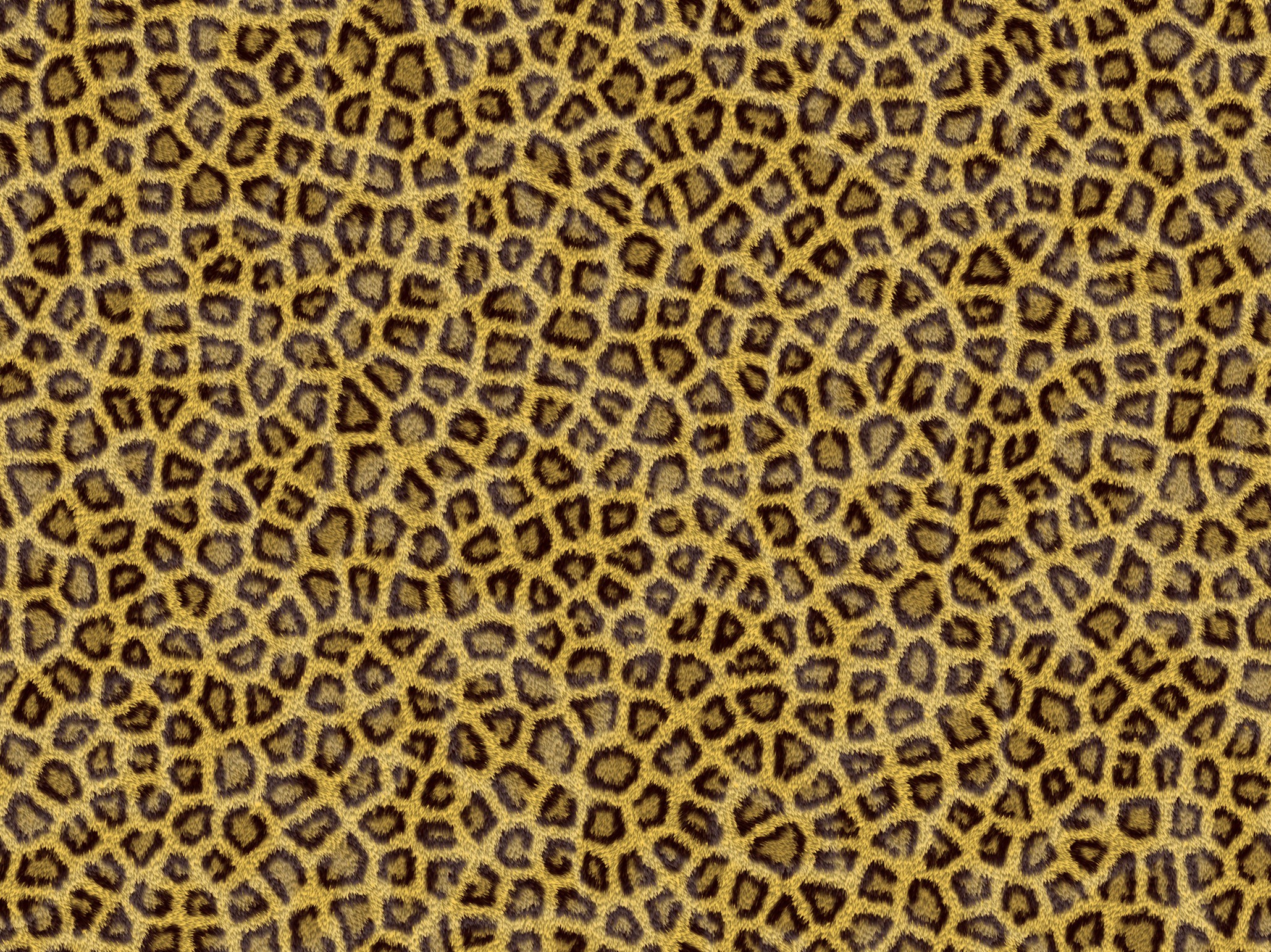 leopard print pattern