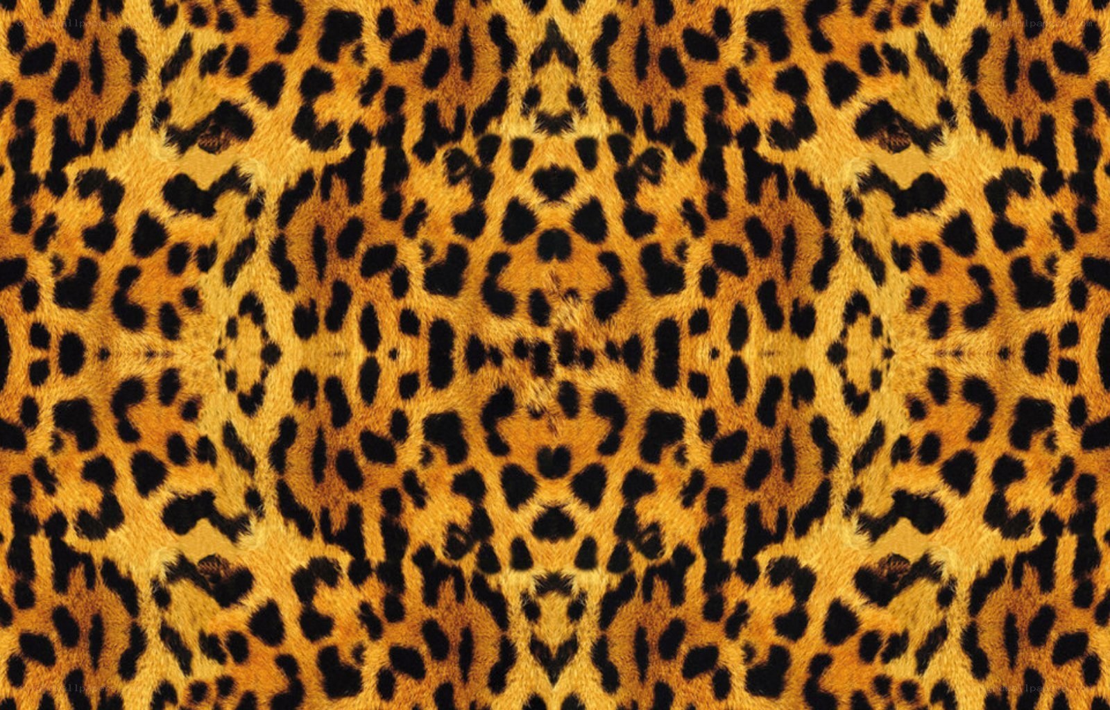 leopard print pattern