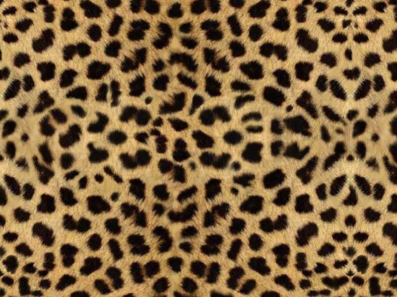 leopard print pattern
