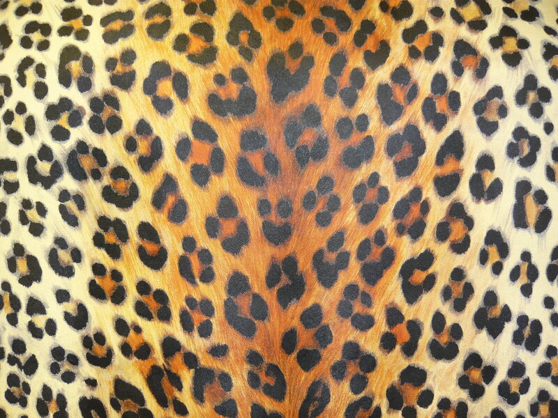 Leopard Print Pattern — Brown, Neutral