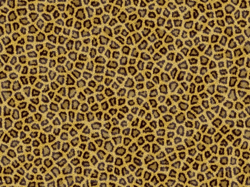Leopard Print Pattern — Brown