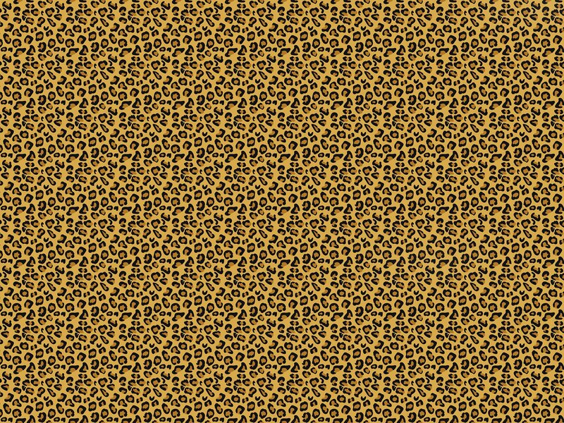 Leopard Print Pattern — Tan