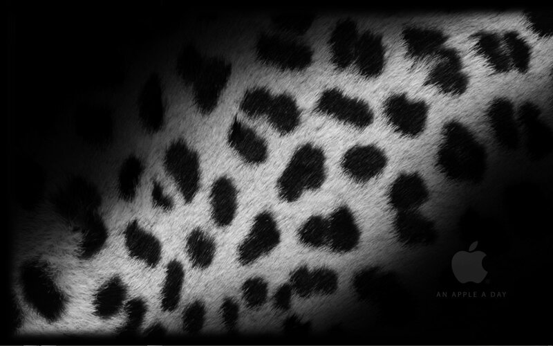 leopard print texture