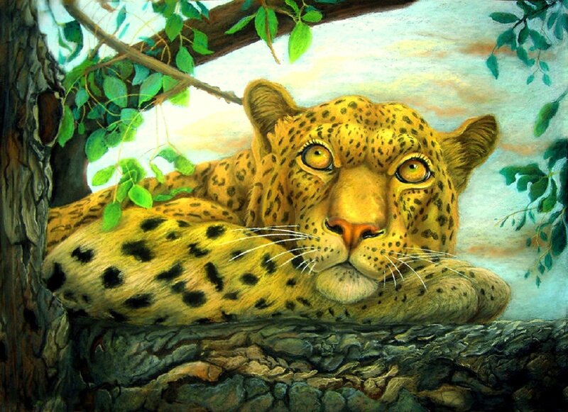 Leopard Resting in Tree — Yellow