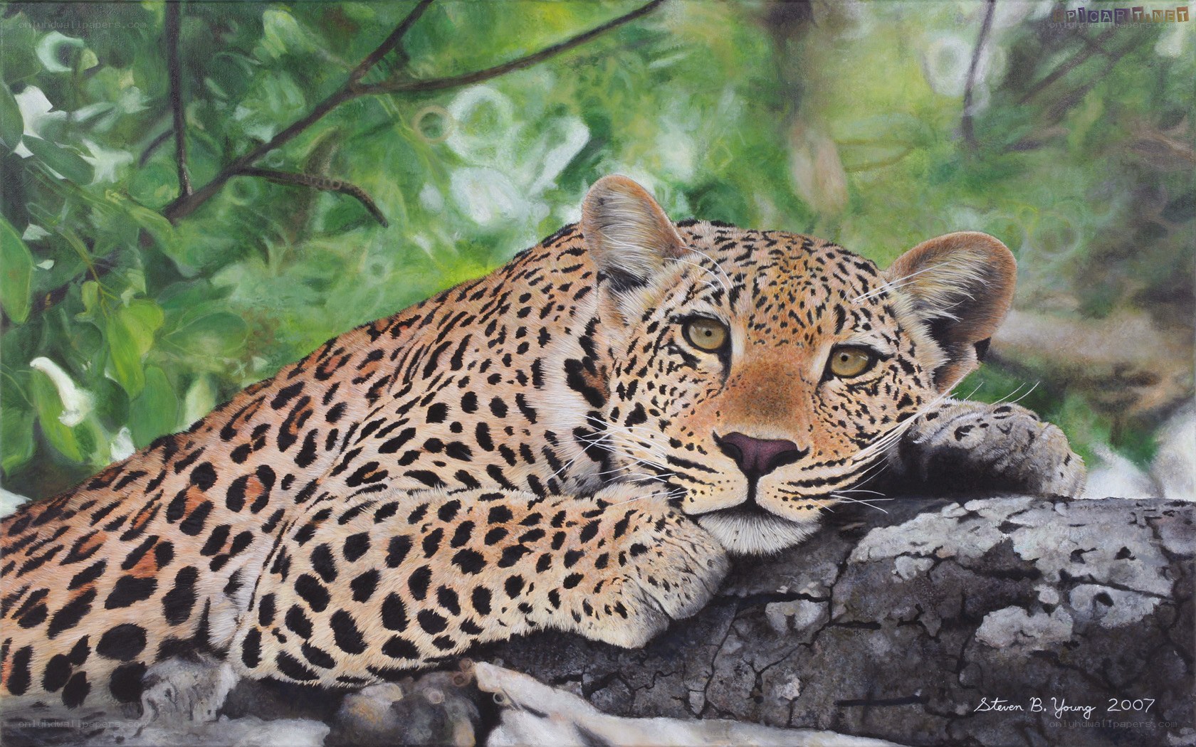 Leopard resting on a log