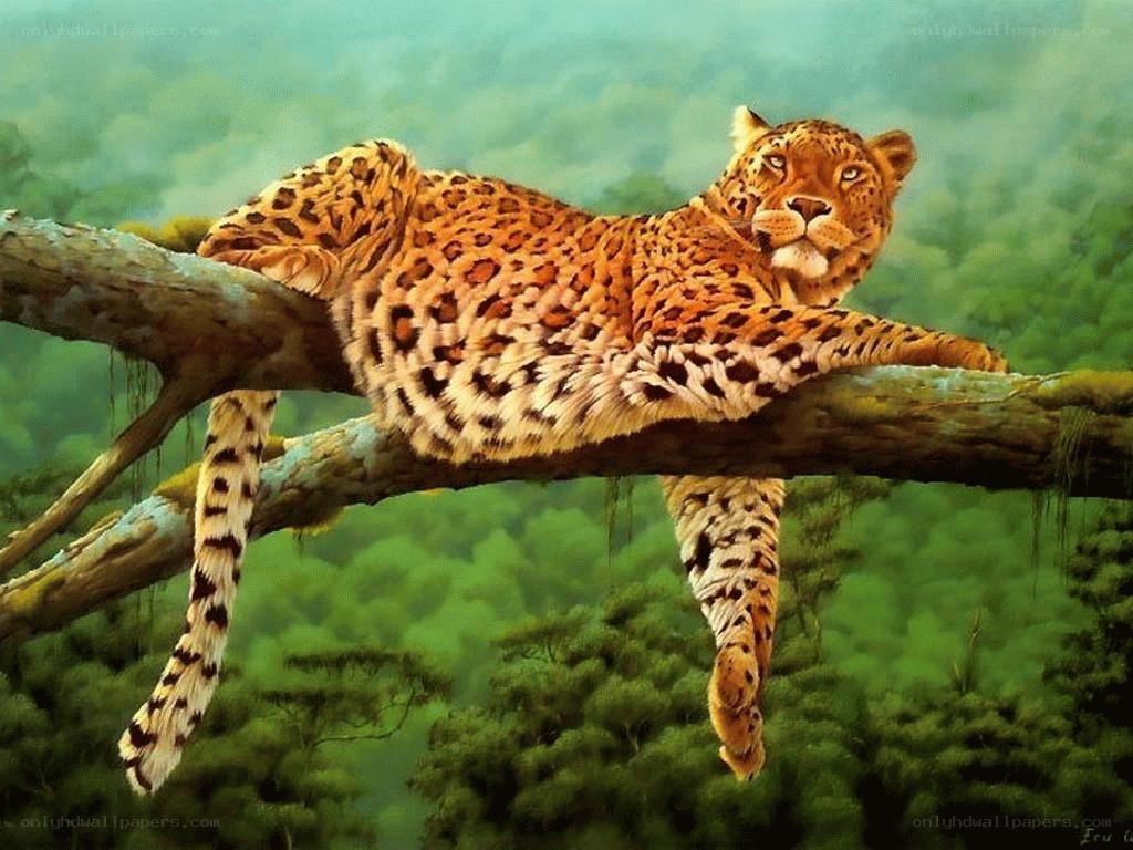 Leopard resting on a tree branch