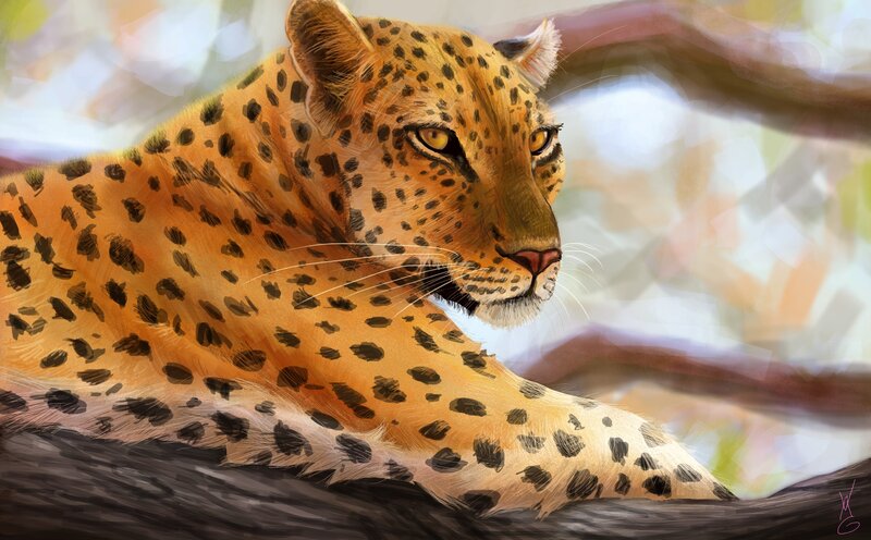 Leopard Resting on Branch — Orange