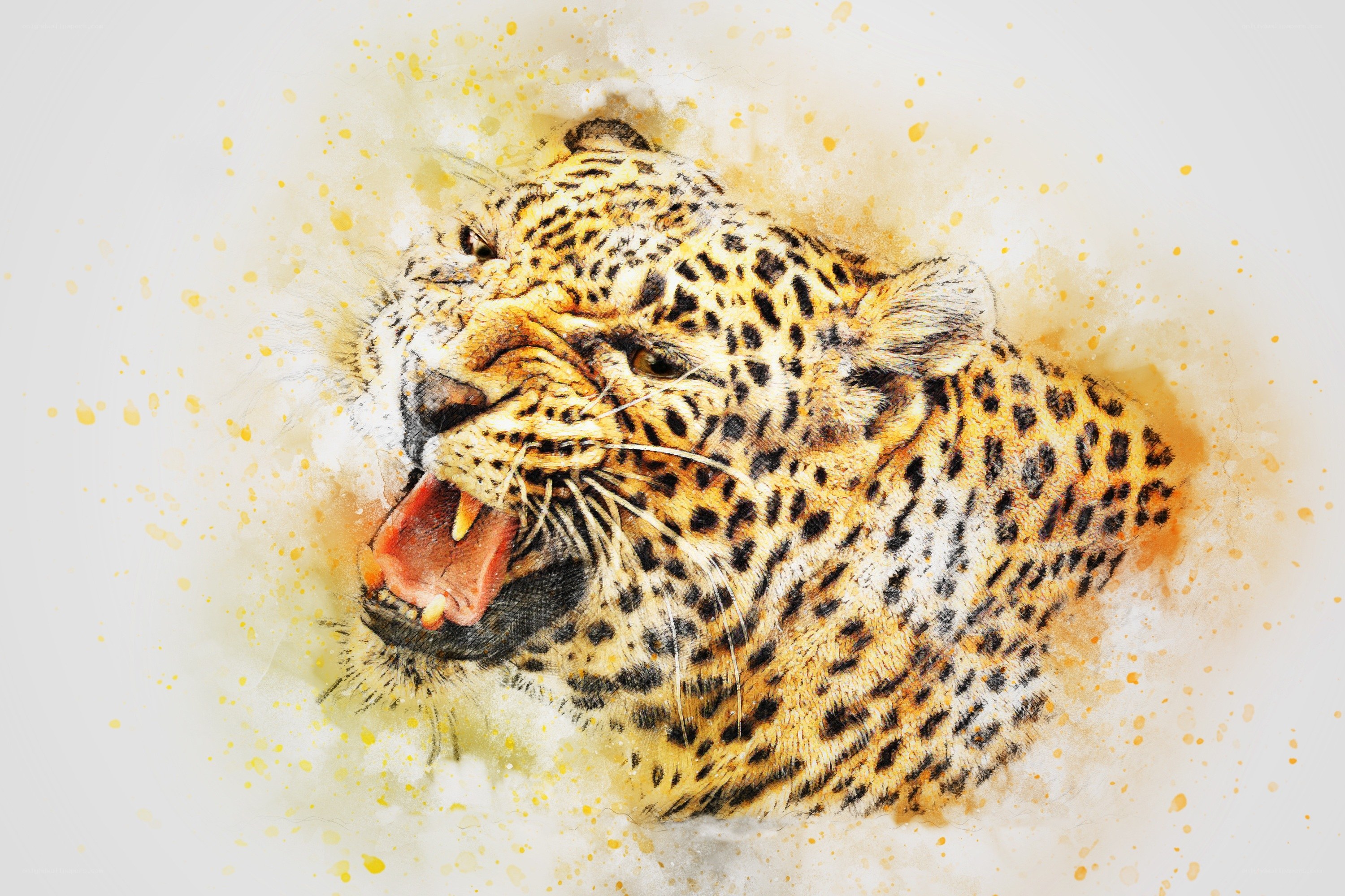 leopard roaring in watercolor