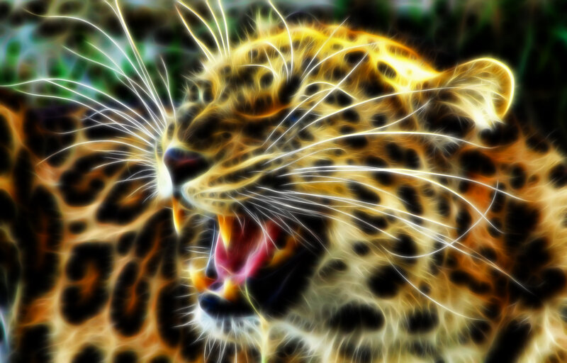 Leopard Roaring — Yellow