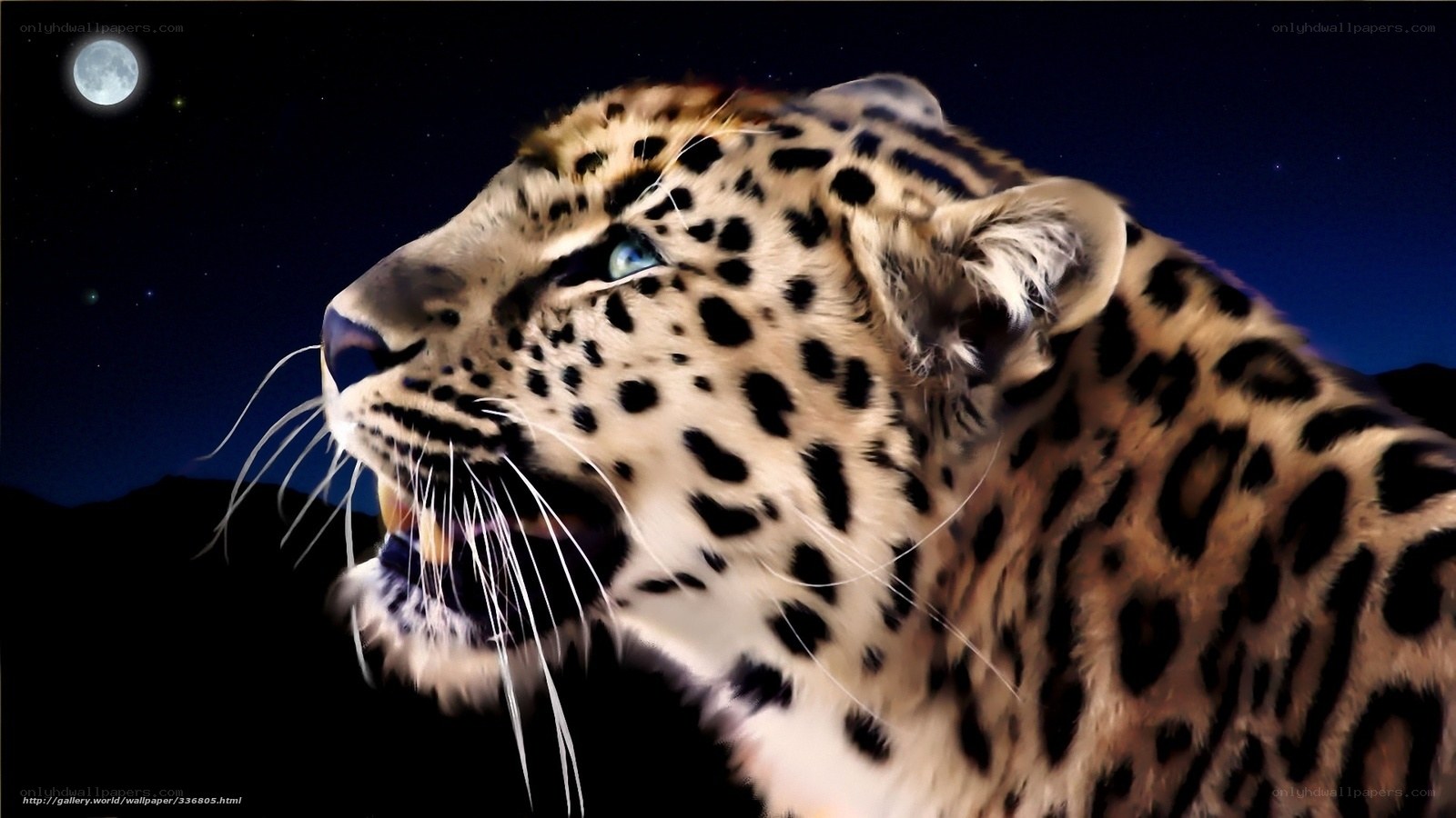 Leopard under the moon