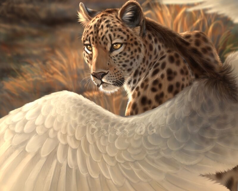 leopard with angel wings