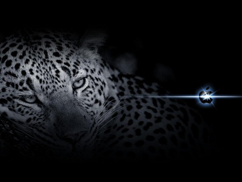 leopard with apple logo
