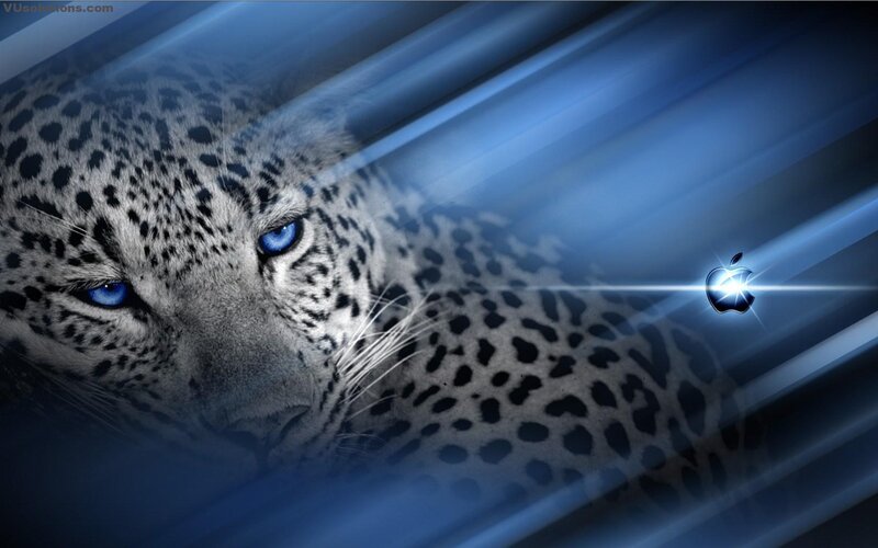 Leopard with Blue Eyes — Dramatic