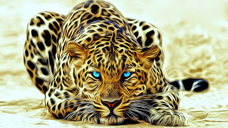 Leopard with Blue Eyes — Yellow, Intense