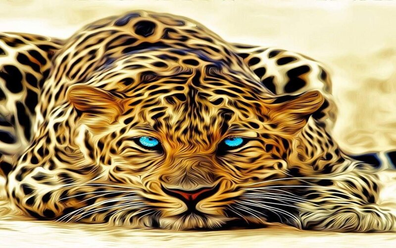 Leopard with Blue Eyes — Yellow