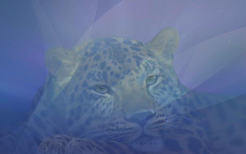 Leopard with digital overlay