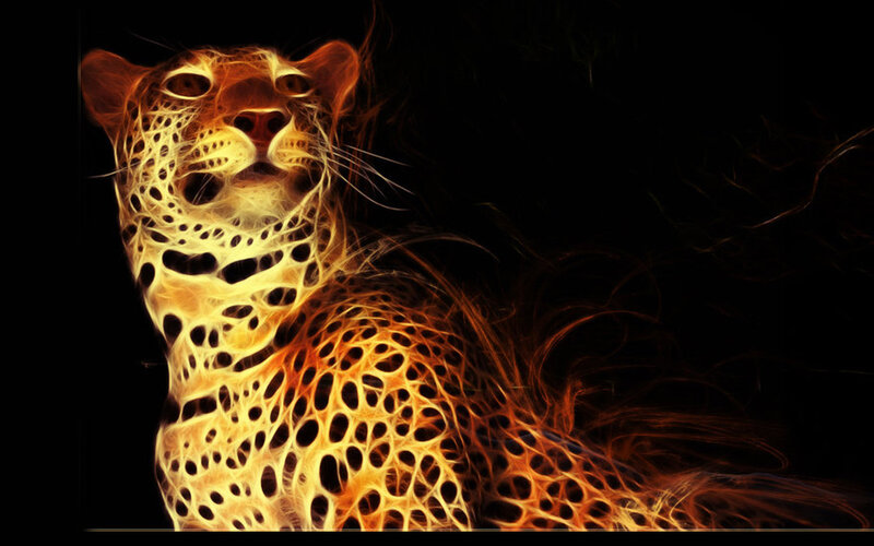 Leopard with Fiery Pattern — Black