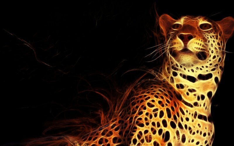 Leopard with Fiery Pattern