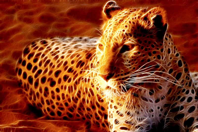 Leopard with Glowing Effect — Orange