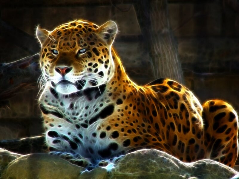 Leopard with Glowing Effect — Yellow