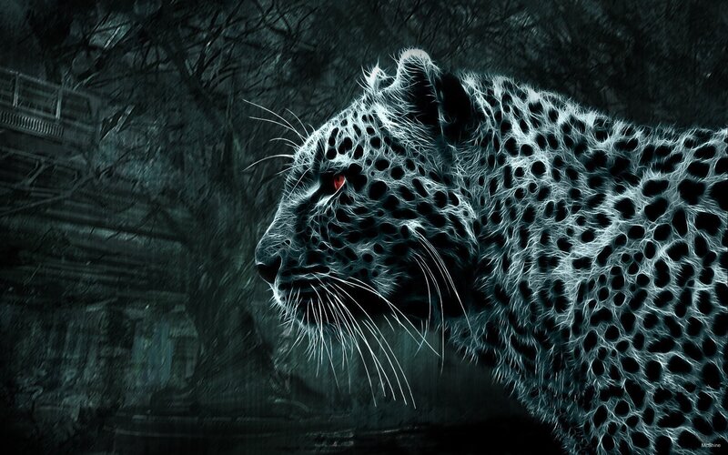 Leopard with Glowing Fur — Black, Dark