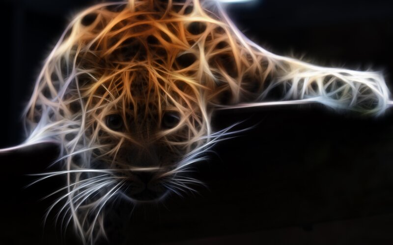 Leopard with Glowing Fur — Black