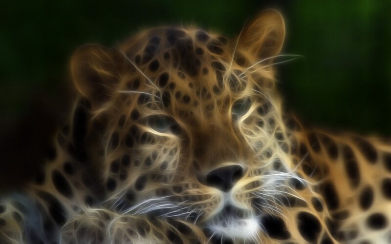 Leopard with Glowing Pattern — Brown
