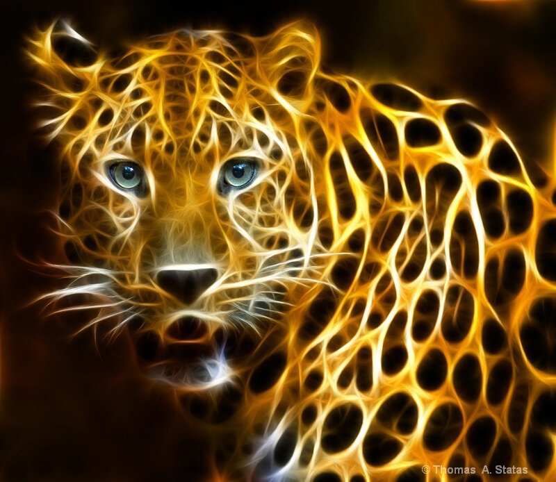 Leopard with Glowing Pattern