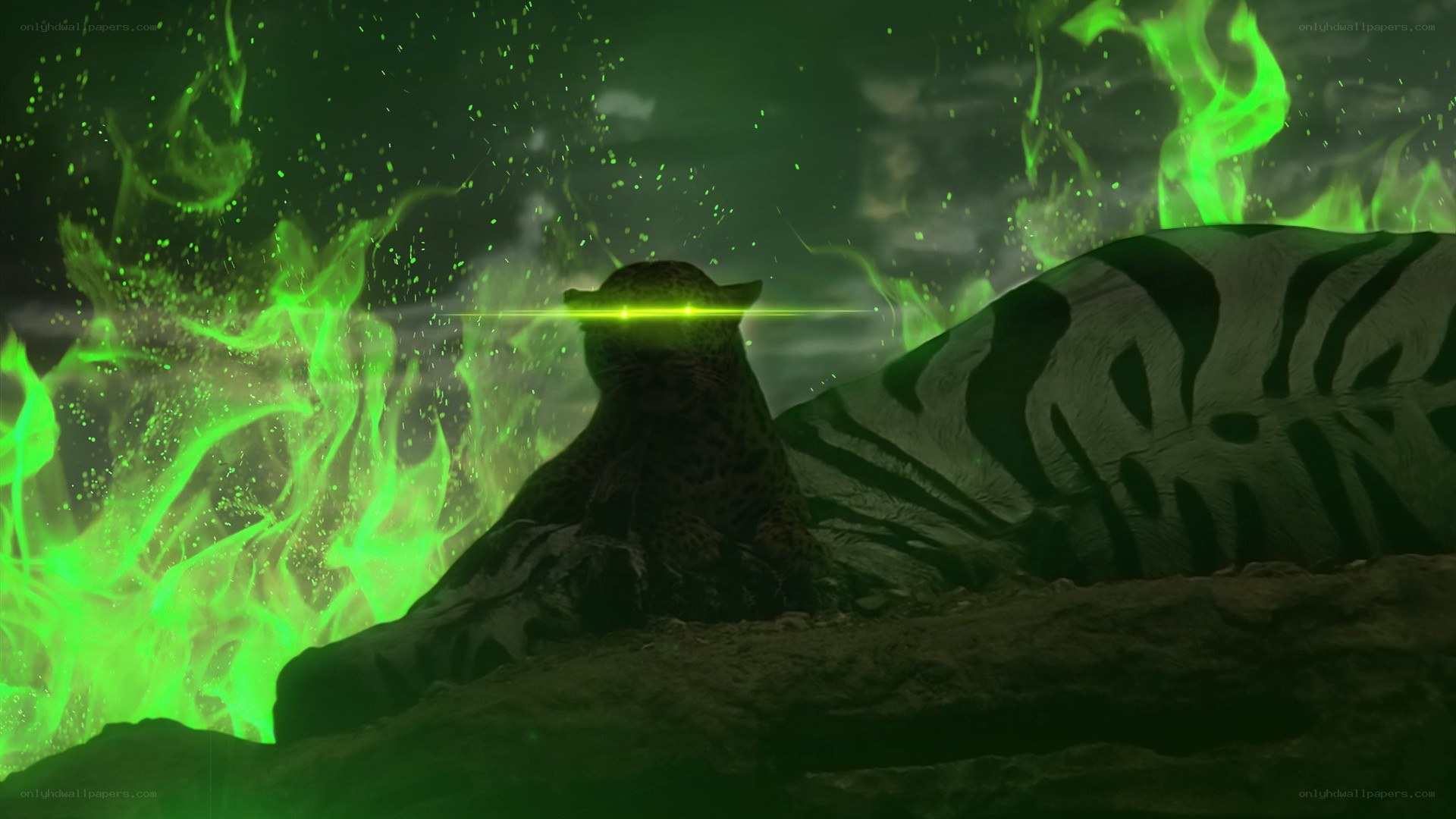 leopard with green laser eyes