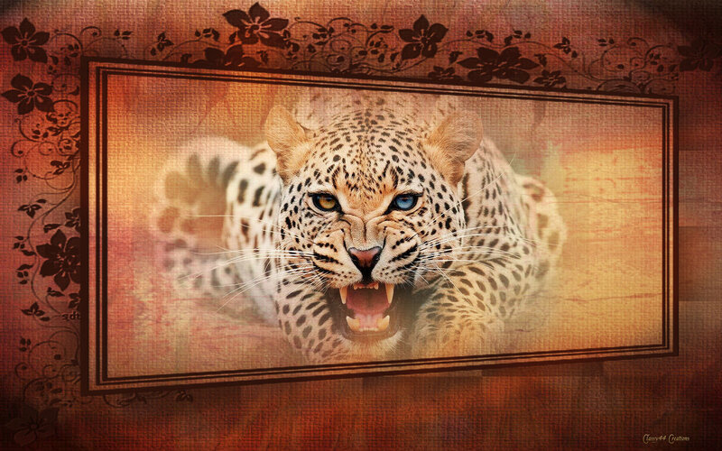 Leopard with Heterochromia — Brown