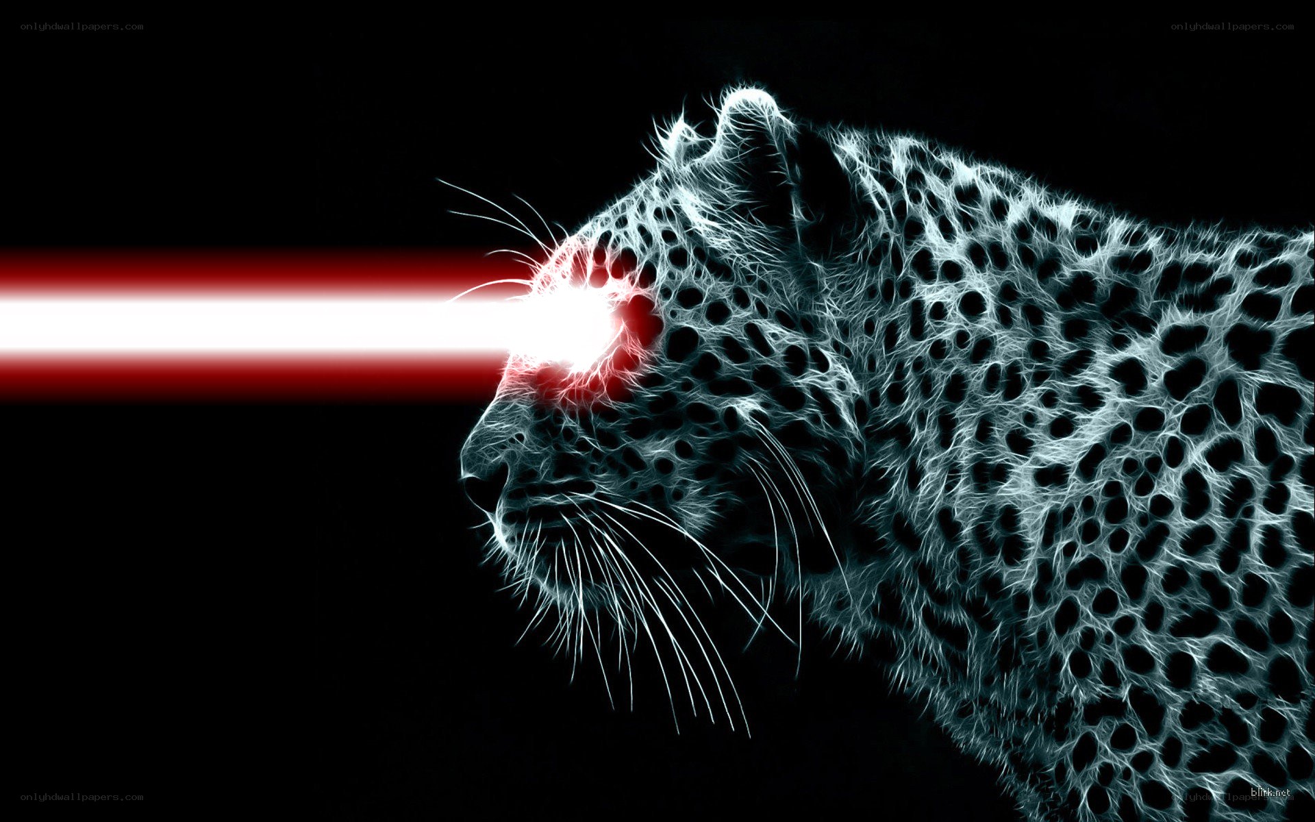 leopard with laser eye