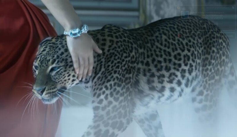 Leopard with Person