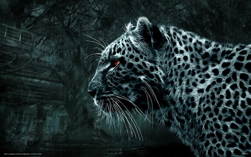 Leopard with Red Eyes
