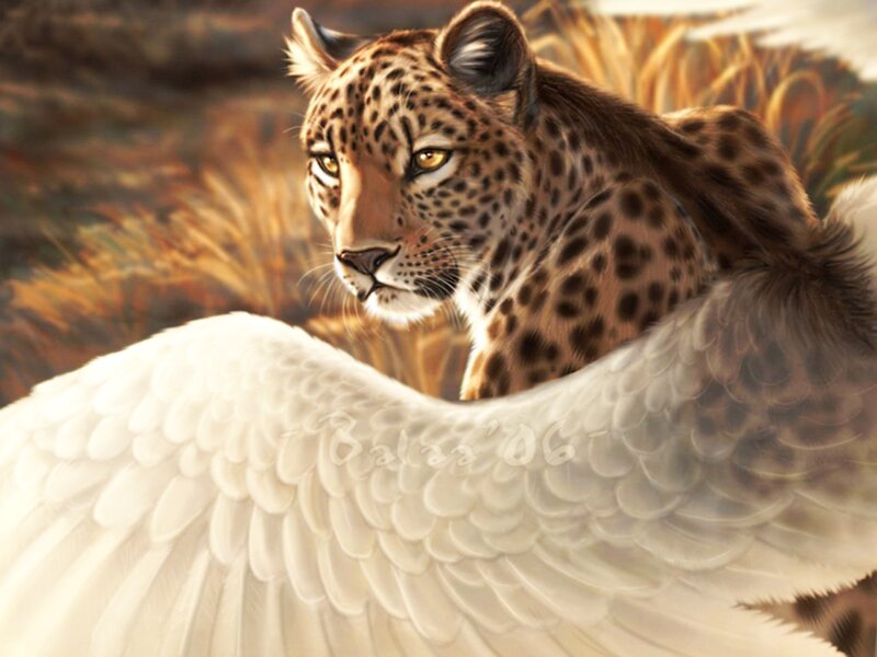 Leopard with White Wings