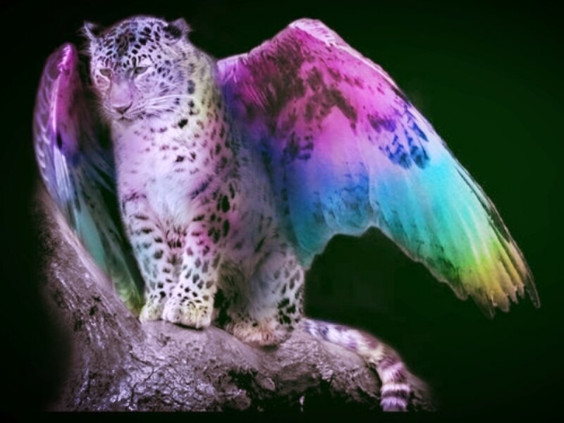 Leopard with Wings