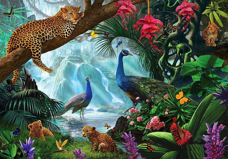 Leopards and Peacocks