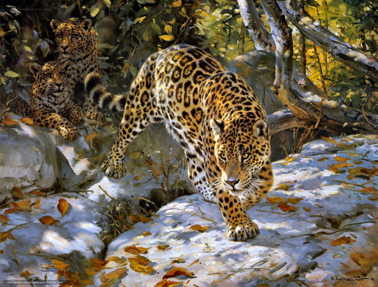 Leopards in forest scene