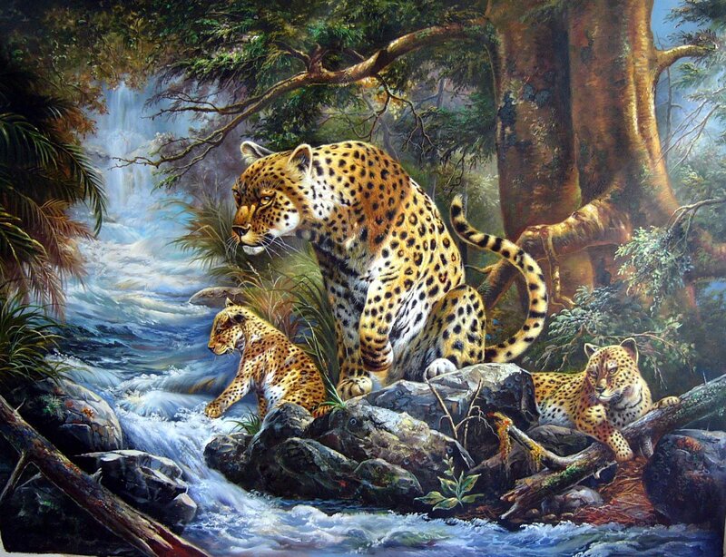 Leopards in Forest