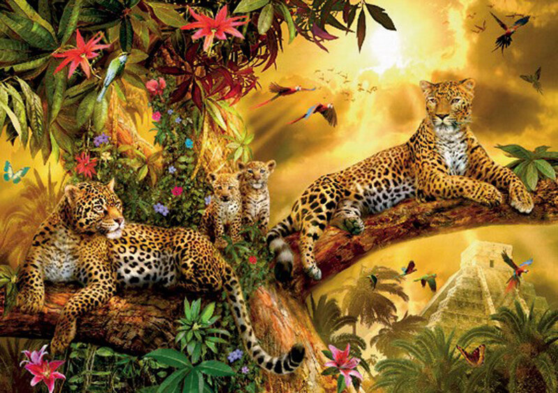 Leopards in Jungle — Yellow, Dramatic, Sunset