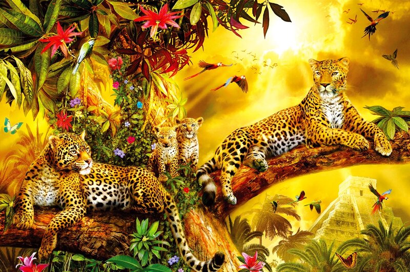 Leopards in Jungle — Yellow, Dramatic