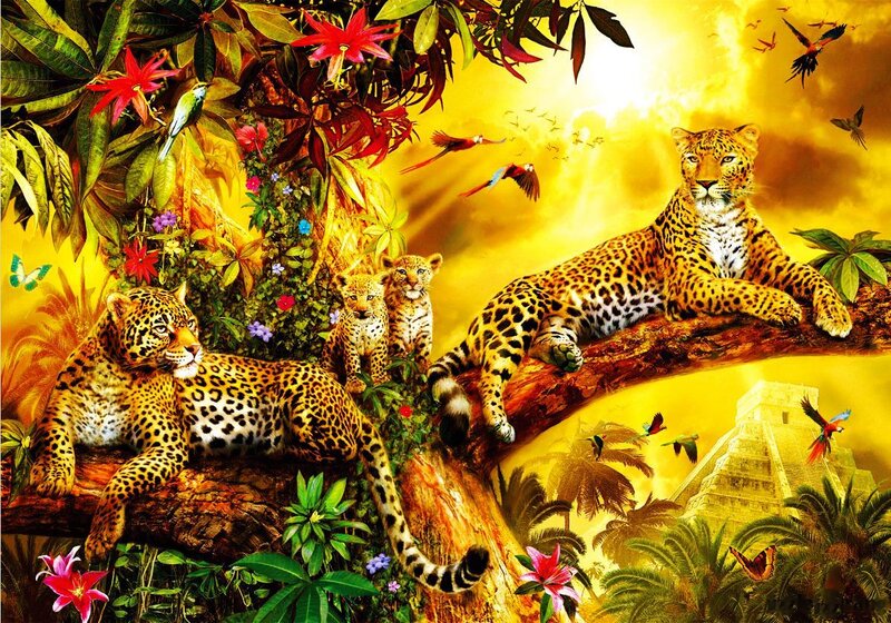 Leopards in Jungle — Yellow