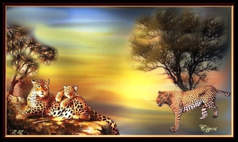 Leopards in Savanna
