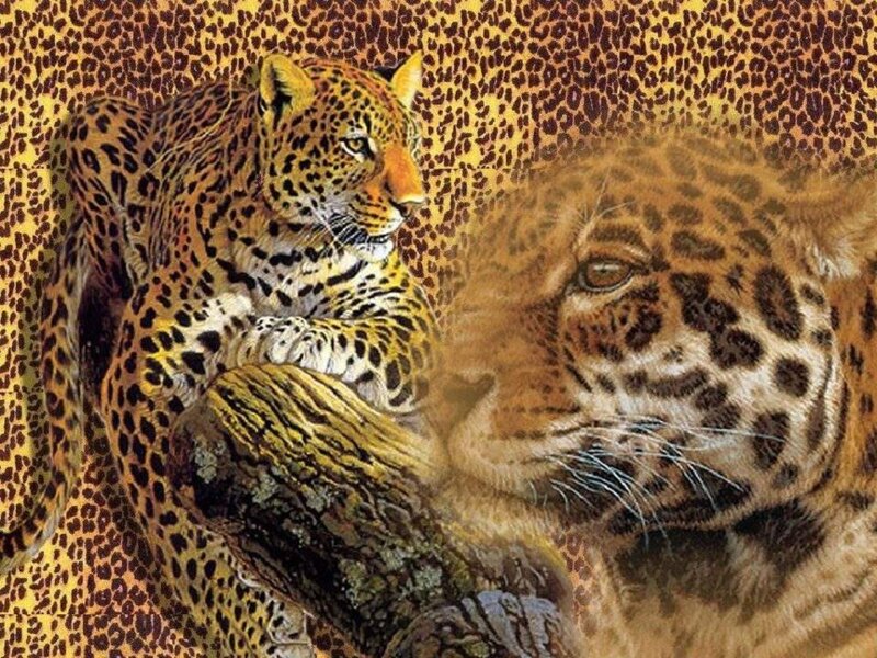 Leopards on a Branch