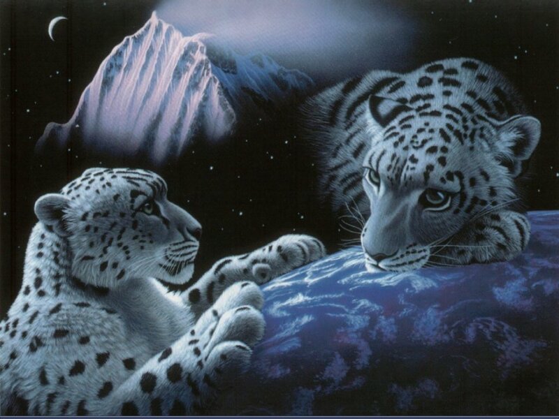 Leopards on a celestial rock