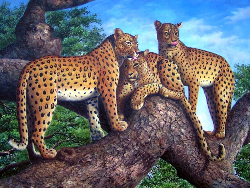 Leopards on a tree branch