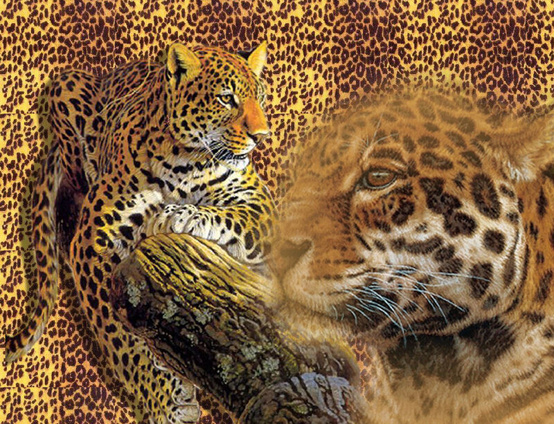 Leopards on Tree Branch