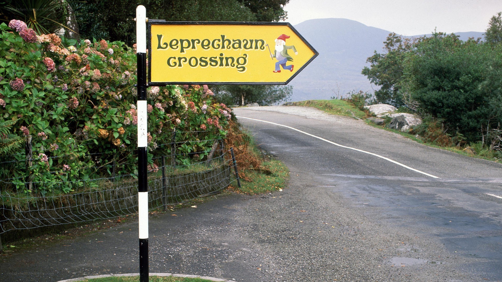 Leprechaun crossing sign