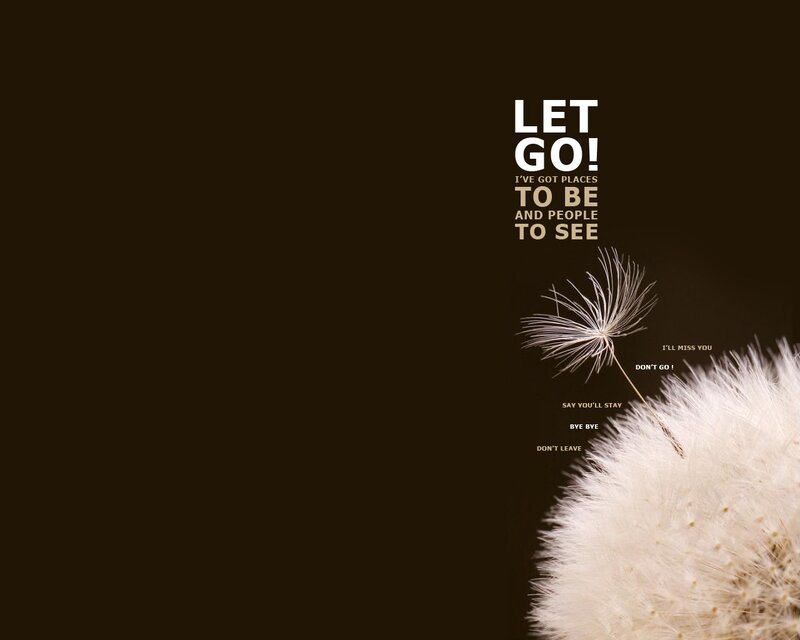 Let Go Dandelion